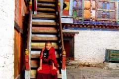 23._Monk_on_stairway_wm