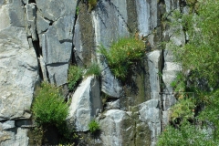 Yosemite_Wall_53_W_wm Yosemite_Wall_53_W_wm