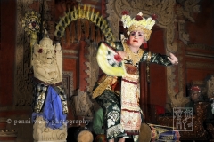 Bali Dancer