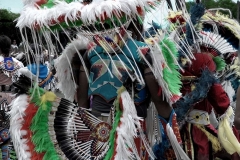 Taos, NM Pow Wow