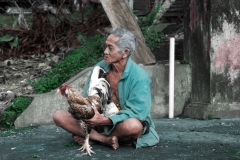 Man w/ fighting Rooster