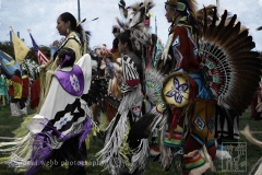 Pow Wow family, NM