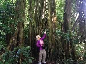 Me in the Rain Forest