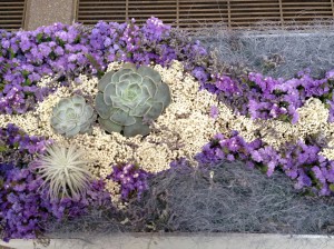 Looking down on flowers.