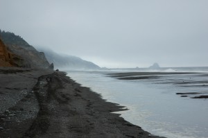 The Beach near Ferndale.