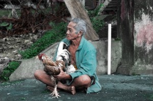 This Balinese man was showing off his star rooster.