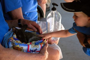 My grand nephew petting a Joey