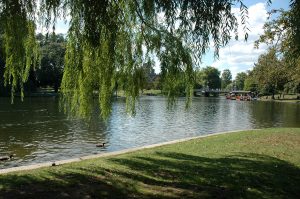 Lovely park in Boston